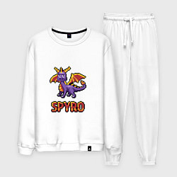 Мужской костюм Spyro: 8 bit
