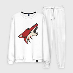 Мужской костюм Phoenix Coyotes