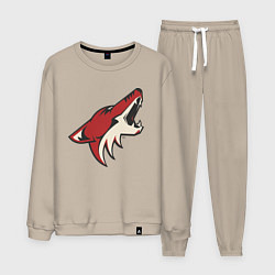 Костюм хлопковый мужской Phoenix Coyotes, цвет: миндальный