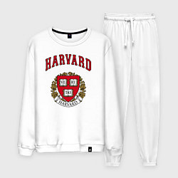 Мужской костюм Harvard university
