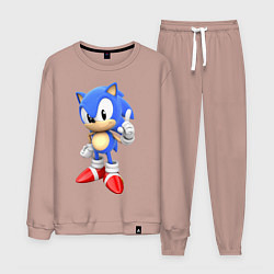 Мужской костюм Classic Sonic