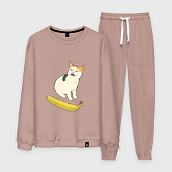 Мужской костюм Cat no banana meme
