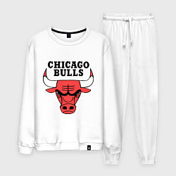 Мужской костюм Chicago Bulls