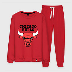 Мужской костюм Chicago Bulls