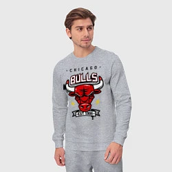 Костюм хлопковый мужской Chicago Bulls est. 1966, цвет: меланж — фото 2
