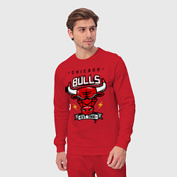 Костюм хлопковый мужской Chicago Bulls est. 1966, цвет: красный — фото 2