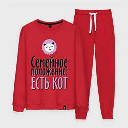 Мужской костюм Семейное положение: есть кот