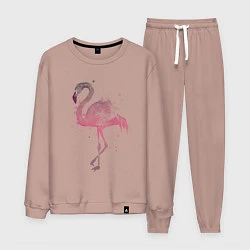 Костюм хлопковый мужской Flamingo, цвет: пыльно-розовый