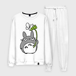 Мужской костюм Totoro и бабочка