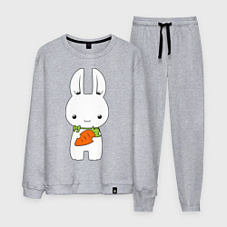 Костюм хлопковый мужской Зайчик с морковкой, цвет: меланж