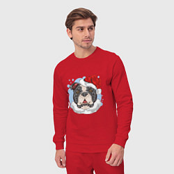 Костюм хлопковый мужской Собачий Санта, цвет: красный — фото 2