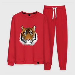 Костюм хлопковый мужской Тигр, цвет: красный