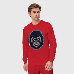 Костюм хлопковый мужской Gorilla, цвет: красный — фото 2