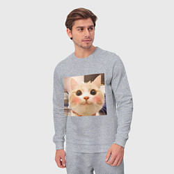 Костюм хлопковый мужской Мем про котов, цвет: меланж — фото 2
