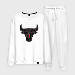 Мужской костюм Bulls - Jordan