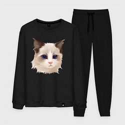 Костюм хлопковый мужской Хмурый кот, цвет: черный