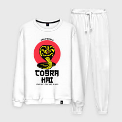 Мужской костюм Cobra Kai: California