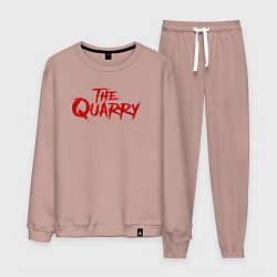 Костюм хлопковый мужской The Quarry logo, цвет: пыльно-розовый