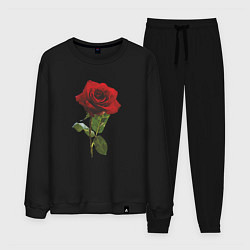 Костюм хлопковый мужской Красивая красная роза, цвет: черный