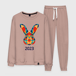 Мужской костюм Кролик из мозаики 2023