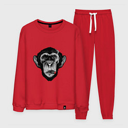 Костюм хлопковый мужской Шимпанзе с сигарой, цвет: красный