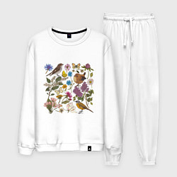 Мужской костюм Цветение и птички