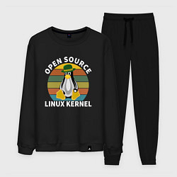 Костюм хлопковый мужской Пингвин ядро линукс, цвет: черный