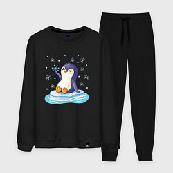 Костюм хлопковый мужской Пингвин на льдине, цвет: черный