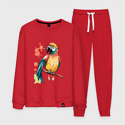 Костюм хлопковый мужской Попугай в брызгах краски, цвет: красный