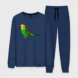 Костюм хлопковый мужской Красивый попугайчик, цвет: тёмно-синий