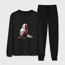 Костюм хлопковый мужской Красный попугай, цвет: черный