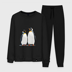 Костюм хлопковый мужской Друзья-пингвины, цвет: черный