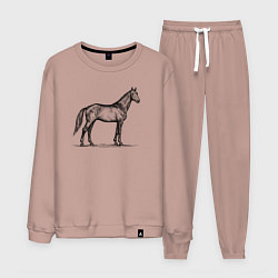 Костюм хлопковый мужской Лошадь в профиль, цвет: пыльно-розовый