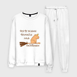 Мужской костюм Мем капибара на метле: фея и ведьма