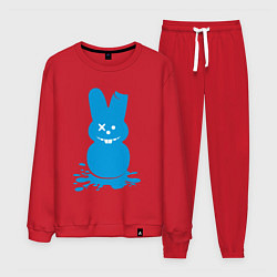 Костюм хлопковый мужской Blue bunny, цвет: красный