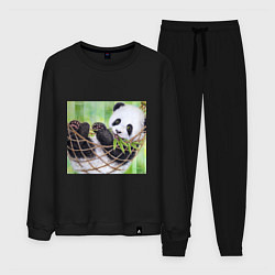 Костюм хлопковый мужской Панда медвед, цвет: черный