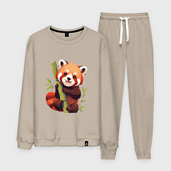 Мужской костюм The Red Panda