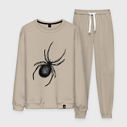 Костюм хлопковый мужской Черный спайди, цвет: миндальный