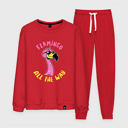 Костюм хлопковый мужской Flamingo all the way, цвет: красный