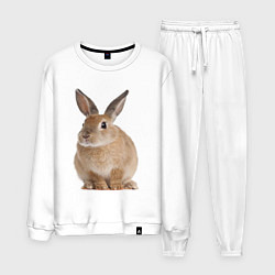 Мужской костюм Бежевый кролик