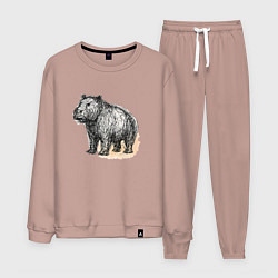 Костюм хлопковый мужской Скетч Бегемот, цвет: пыльно-розовый