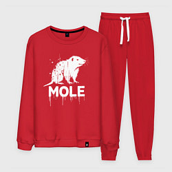 Мужской костюм Крот в стиле белое граффити