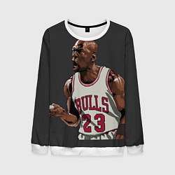 Свитшот мужской Bulls 23: Jordan, цвет: 3D-белый
