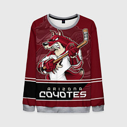 Свитшот мужской Arizona Coyotes, цвет: 3D-меланж