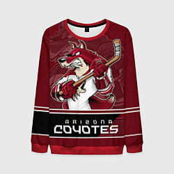 Свитшот мужской Arizona Coyotes, цвет: 3D-красный