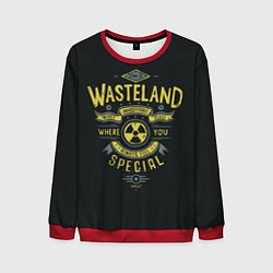 Свитшот мужской Come to Wasteland, цвет: 3D-красный