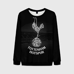 Свитшот мужской Tottenham Hotspur, цвет: 3D-черный