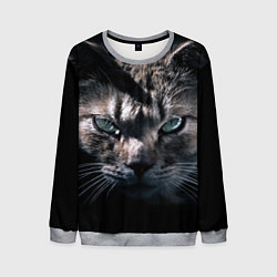 Свитшот мужской Котик, цвет: 3D-меланж