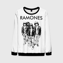 Свитшот мужской Ramones Party, цвет: 3D-черный