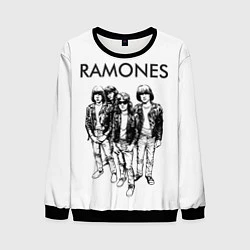 Мужской свитшот Ramones Party